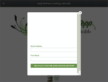 Tablet Screenshot of drzepp.com